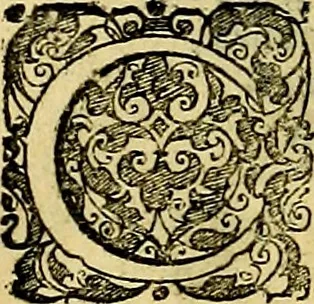 An illustration from Le imprese illustri del S.or Ieronimo Ruscelli., 1584, leaf 563
