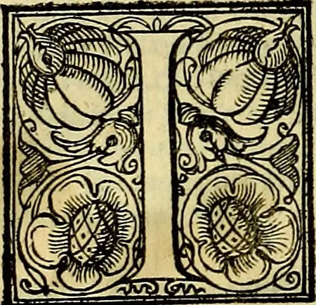An illustration from Le imprese illustri del S.or Ieronimo Ruscelli., 1584, leaf 593