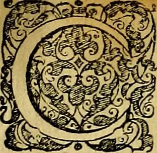 An illustration from Le imprese illustri del S.or Ieronimo Ruscelli., 1584, leaf 609