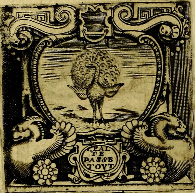 An illustration from Le imprese illustri del S.or Ieronimo Ruscelli., 1584, leaf 65