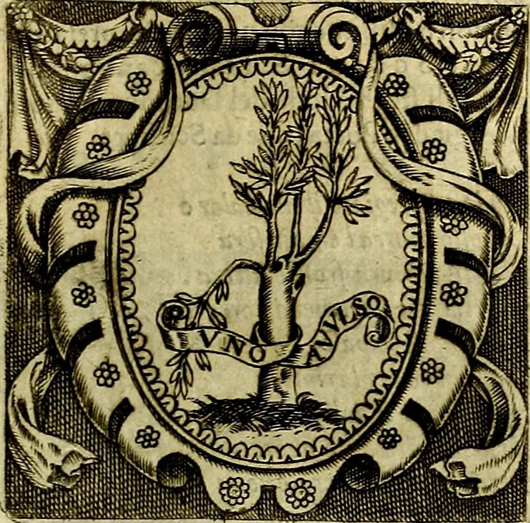 An illustration from Le imprese illustri del S.or Ieronimo Ruscelli., 1584, leaf 166