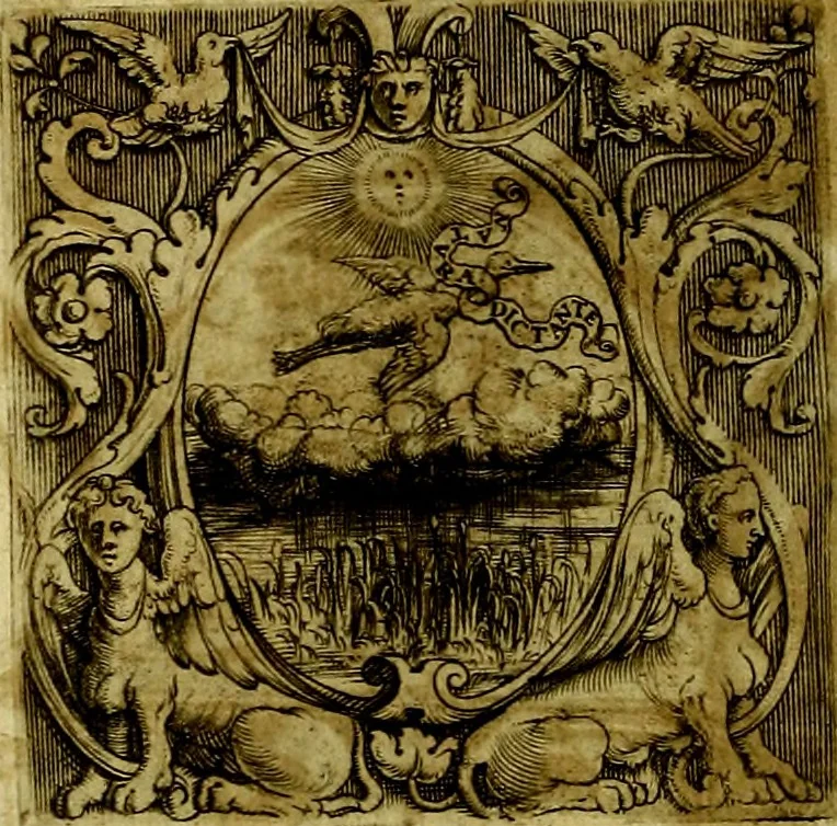 An illustration from Le imprese illustri del S.or Ieronimo Ruscelli., 1584, leaf 313