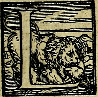 An illustration from Le imprese illustri del S.or Ieronimo Ruscelli., 1584, leaf 392