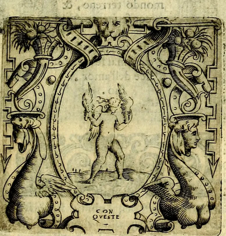 An illustration from Le imprese illustri del S.or Ieronimo Ruscelli., 1584, leaf 426
