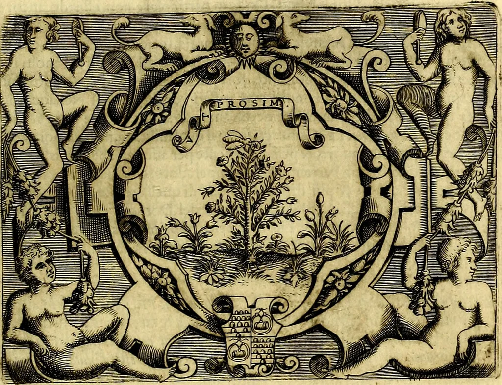 An illustration from Le imprese illustri del S.or Ieronimo Ruscelli., 1584, leaf 454