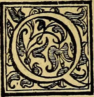 An illustration from Le imprese illustri del S.or Ieronimo Ruscelli., 1584, leaf 509