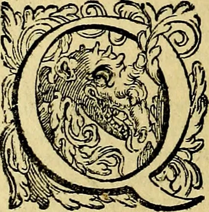 An illustration from Le imprese illustri del S.or Ieronimo Ruscelli., 1584, leaf 553