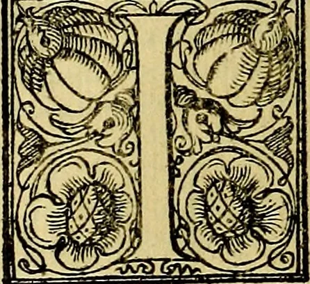 An illustration from Le imprese illustri del S.or Ieronimo Ruscelli., 1584, leaf 591