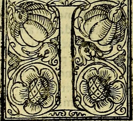 An illustration from Le imprese illustri del S.or Ieronimo Ruscelli., 1584, leaf 597