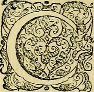An illustration from Le imprese illustri del S.or Ieronimo Ruscelli., 1584, leaf 607