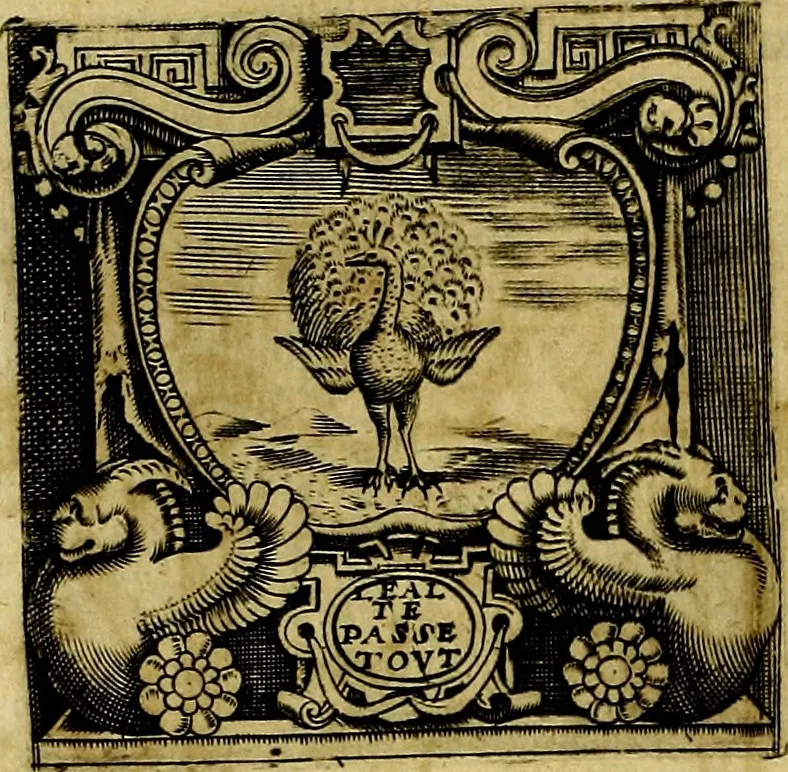 An illustration from Le imprese illustri del S.or Ieronimo Ruscelli., 1584, leaf 63