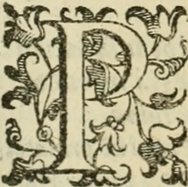 An illustration from Le imprese illvstri del s.or Ieronimo Rvscelli. Aggivntovi nvovam.te il qvarto libro da Vincenzo Rvscelli da Viterbo.., 1584, leaf 123