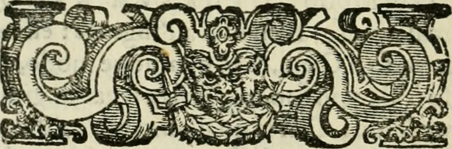 An illustration from Le imprese illvstri del s.or Ieronimo Rvscelli. Aggivntovi nvovam.te il qvarto libro da Vincenzo Rvscelli da Viterbo.., 1584, leaf 155