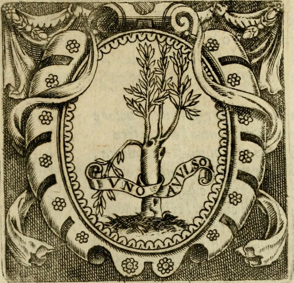 An illustration from Le imprese illvstri del s.or Ieronimo Rvscelli. Aggivntovi nvovam.te il qvarto libro da Vincenzo Rvscelli da Viterbo.., 1584, leaf 168