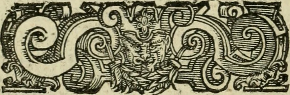 An illustration from Le imprese illvstri del s.or Ieronimo Rvscelli. Aggivntovi nvovam.te il qvarto libro da Vincenzo Rvscelli da Viterbo.., 1584, leaf 169