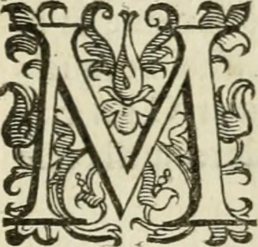 An illustration from Le imprese illvstri del s.or Ieronimo Rvscelli. Aggivntovi nvovam.te il qvarto libro da Vincenzo Rvscelli da Viterbo.., 1584, leaf 212