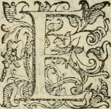 An illustration from Le imprese illvstri del s.or Ieronimo Rvscelli. Aggivntovi nvovam.te il qvarto libro da Vincenzo Rvscelli da Viterbo.., 1584, leaf 224