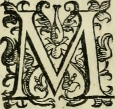 An illustration from Le imprese illvstri del s.or Ieronimo Rvscelli. Aggivntovi nvovam.te il qvarto libro da Vincenzo Rvscelli da Viterbo.., 1584, leaf 247