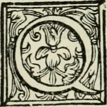 An illustration from Le imprese illvstri del s.or Ieronimo Rvscelli. Aggivntovi nvovam.te il qvarto libro da Vincenzo Rvscelli da Viterbo.., 1584, leaf 249