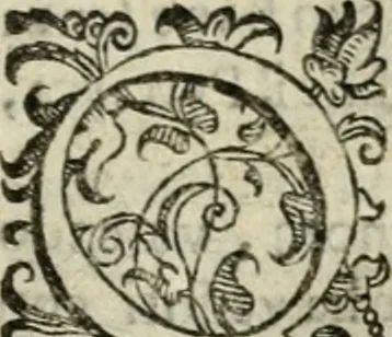 An illustration from Le imprese illvstri del s.or Ieronimo Rvscelli. Aggivntovi nvovam.te il qvarto libro da Vincenzo Rvscelli da Viterbo.., 1584, leaf 260
