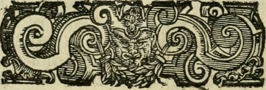 An illustration from Le imprese illvstri del s.or Ieronimo Rvscelli. Aggivntovi nvovam.te il qvarto libro da Vincenzo Rvscelli da Viterbo.., 1584, leaf 265