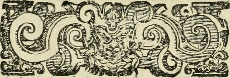 An illustration from Le imprese illvstri del s.or Ieronimo Rvscelli. Aggivntovi nvovam.te il qvarto libro da Vincenzo Rvscelli da Viterbo.., 1584, leaf 282