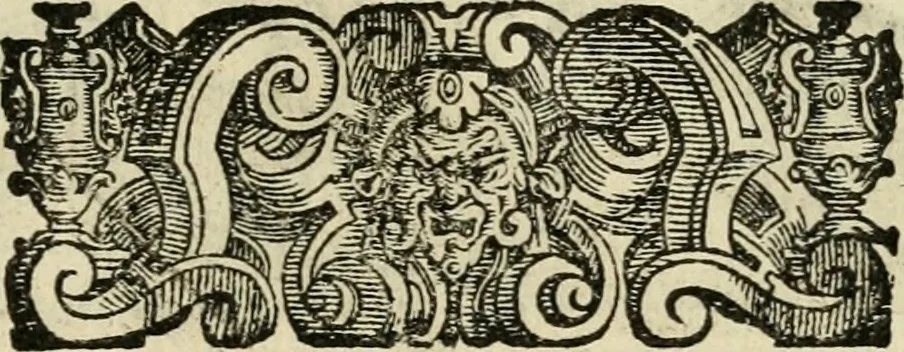 An illustration from Le imprese illvstri del s.or Ieronimo Rvscelli. Aggivntovi nvovam.te il qvarto libro da Vincenzo Rvscelli da Viterbo.., 1584, leaf 310