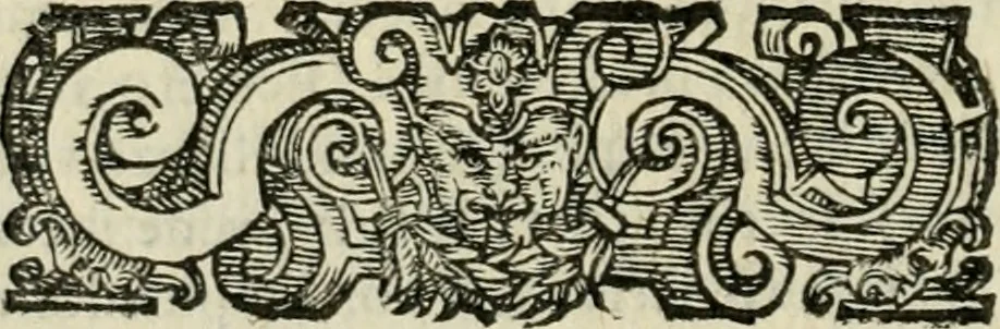An illustration from Le imprese illvstri del s.or Ieronimo Rvscelli. Aggivntovi nvovam.te il qvarto libro da Vincenzo Rvscelli da Viterbo.., 1584, leaf 313