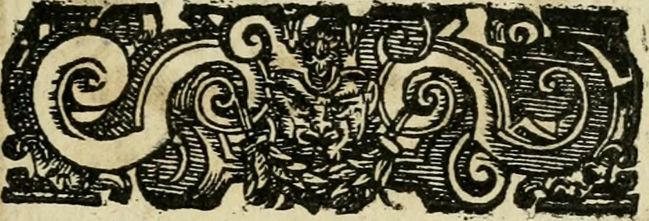 An illustration from Le imprese illvstri del s.or Ieronimo Rvscelli. Aggivntovi nvovam.te il qvarto libro da Vincenzo Rvscelli da Viterbo.., 1584, leaf 350