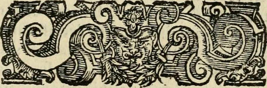 An illustration from Le imprese illvstri del s.or Ieronimo Rvscelli. Aggivntovi nvovam.te il qvarto libro da Vincenzo Rvscelli da Viterbo.., 1584, leaf 354