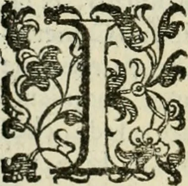 An illustration from Le imprese illvstri del s.or Ieronimo Rvscelli. Aggivntovi nvovam.te il qvarto libro da Vincenzo Rvscelli da Viterbo.., 1584, leaf 381