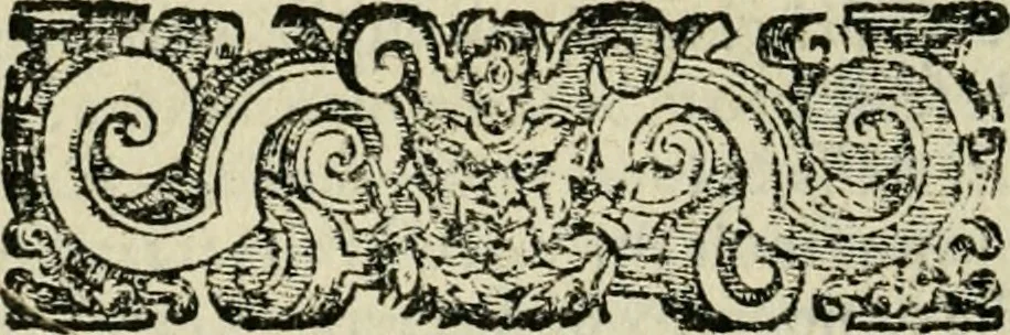 An illustration from Le imprese illvstri del s.or Ieronimo Rvscelli. Aggivntovi nvovam.te il qvarto libro da Vincenzo Rvscelli da Viterbo.., 1584, leaf 413