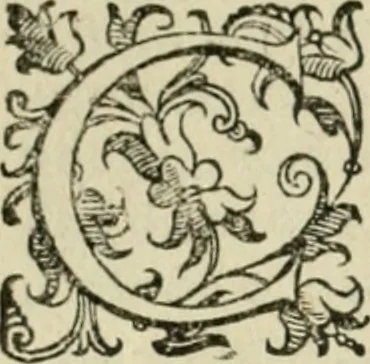 An illustration from Le imprese illvstri del s.or Ieronimo Rvscelli. Aggivntovi nvovam.te il qvarto libro da Vincenzo Rvscelli da Viterbo.., 1584, leaf 43
