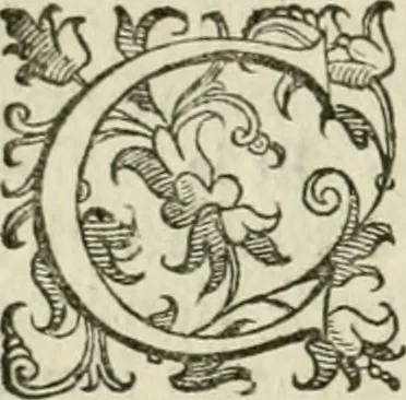 An illustration from Le imprese illvstri del s.or Ieronimo Rvscelli. Aggivntovi nvovam.te il qvarto libro da Vincenzo Rvscelli da Viterbo.., 1584, leaf 45