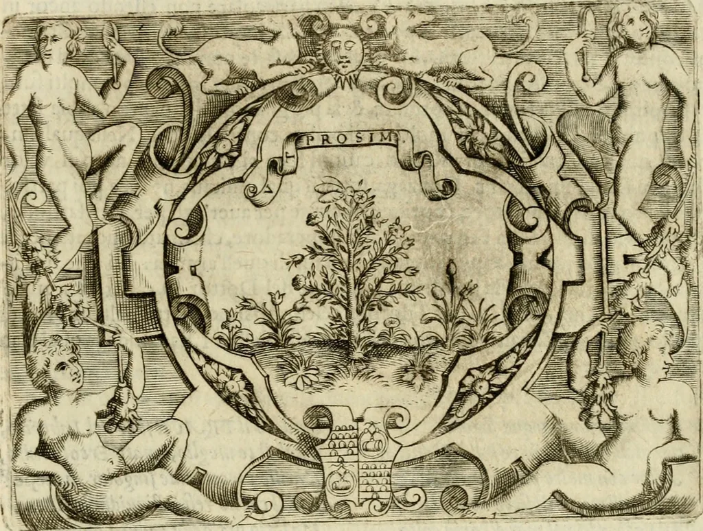 An illustration from Le imprese illvstri del s.or Ieronimo Rvscelli. Aggivntovi nvovam.te il qvarto libro da Vincenzo Rvscelli da Viterbo.., 1584, leaf 456