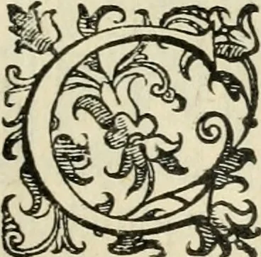 An illustration from Le imprese illvstri del s.or Ieronimo Rvscelli. Aggivntovi nvovam.te il qvarto libro da Vincenzo Rvscelli da Viterbo.., 1584, leaf 460