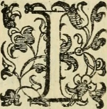 An illustration from Le imprese illvstri del s.or Ieronimo Rvscelli. Aggivntovi nvovam.te il qvarto libro da Vincenzo Rvscelli da Viterbo.., 1584, leaf 484