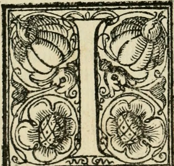 An illustration from Le imprese illvstri del s.or Ieronimo Rvscelli. Aggivntovi nvovam.te il qvarto libro da Vincenzo Rvscelli da Viterbo.., 1584, leaf 593