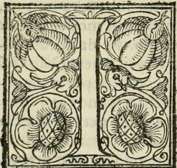 An illustration from Le imprese illvstri del s.or Ieronimo Rvscelli. Aggivntovi nvovam.te il qvarto libro da Vincenzo Rvscelli da Viterbo.., 1584, leaf 599