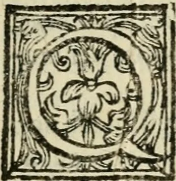 An illustration from Le imprese illvstri del s.or Ieronimo Rvscelli. Aggivntovi nvovam.te il qvarto libro da Vincenzo Rvscelli da Viterbo.., 1584, leaf 60