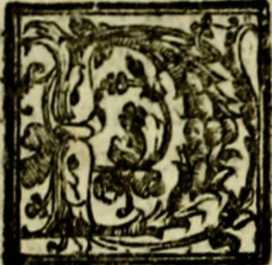 An illustration from Le imprese illvstri, con espositioni, et discorsi del S.or Ieronimo Rvscelli. Con la givnta di altre imprese tvtto riordinato et corretto da Fran.co Patritio, 1572, leaf 105