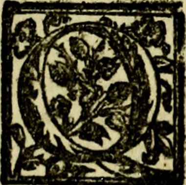An illustration from Le imprese illvstri, con espositioni, et discorsi del S.or Ieronimo Rvscelli. Con la givnta di altre imprese tvtto riordinato et corretto da Fran.co Patritio, 1572, leaf 149