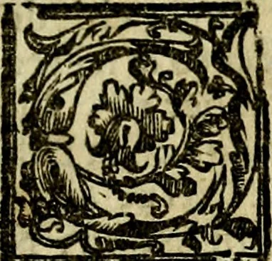 An illustration from Le imprese illvstri, con espositioni, et discorsi del S.or Ieronimo Rvscelli. Con la givnta di altre imprese tvtto riordinato et corretto da Fran.co Patritio, 1572, leaf 214