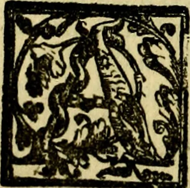 An illustration from Le imprese illvstri, con espositioni, et discorsi del S.or Ieronimo Rvscelli. Con la givnta di altre imprese tvtto riordinato et corretto da Fran.co Patritio, 1572, leaf 219