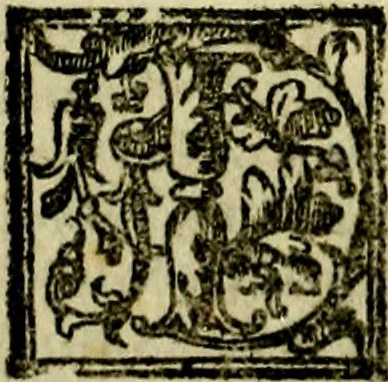 An illustration from Le imprese illvstri, con espositioni, et discorsi del S.or Ieronimo Rvscelli. Con la givnta di altre imprese tvtto riordinato et corretto da Fran.co Patritio, 1572, leaf 265