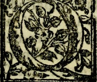 An illustration from Le imprese illvstri, con espositioni, et discorsi del S.or Ieronimo Rvscelli. Con la givnta di altre imprese tvtto riordinato et corretto da Fran.co Patritio, 1572, leaf 278