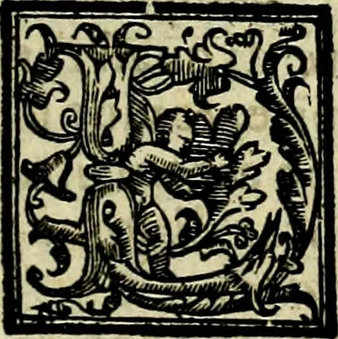An illustration from Le imprese illvstri, con espositioni, et discorsi del S.or Ieronimo Rvscelli. Con la givnta di altre imprese tvtto riordinato et corretto da Fran.co Patritio, 1572, leaf 306