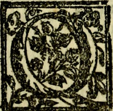 An illustration from Le imprese illvstri, con espositioni, et discorsi del S.or Ieronimo Rvscelli. Con la givnta di altre imprese tvtto riordinato et corretto da Fran.co Patritio, 1572, leaf 309