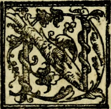 An illustration from Le imprese illvstri, con espositioni, et discorsi del S.or Ieronimo Rvscelli. Con la givnta di altre imprese tvtto riordinato et corretto da Fran.co Patritio, 1572, leaf 312