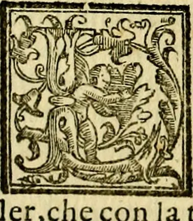 An illustration from Le imprese illvstri, con espositioni, et discorsi del S.or Ieronimo Rvscelli. Con la givnta di altre imprese tvtto riordinato et corretto da Fran.co Patritio, 1572, leaf 325